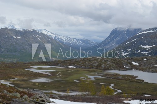 Picture of Subarctic tundra in Norwegian mountains northern Scanned